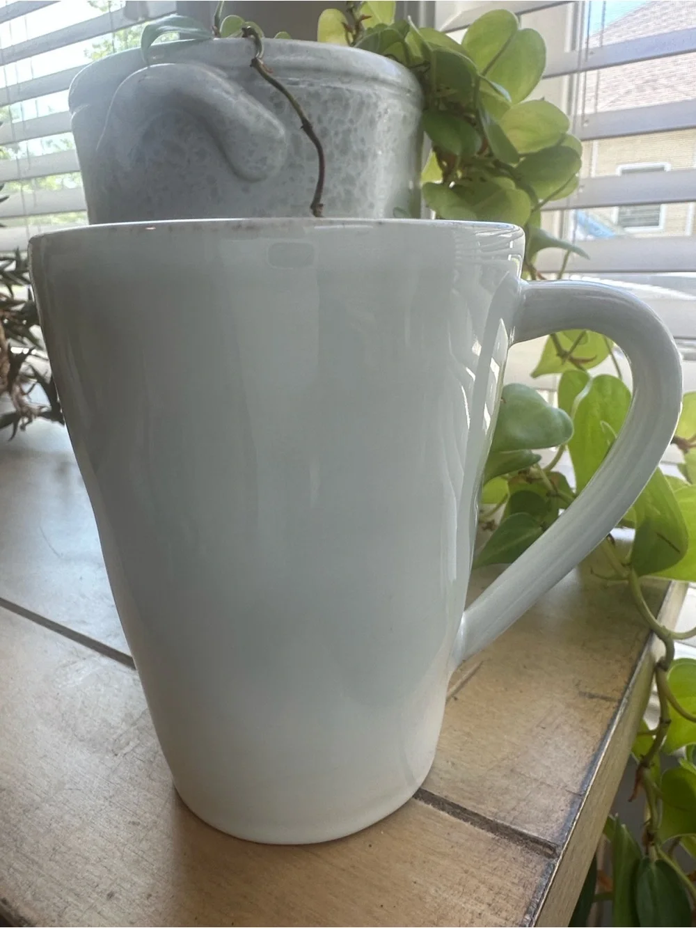 Crate & Barrel Chunky Handled Antiqued Mug